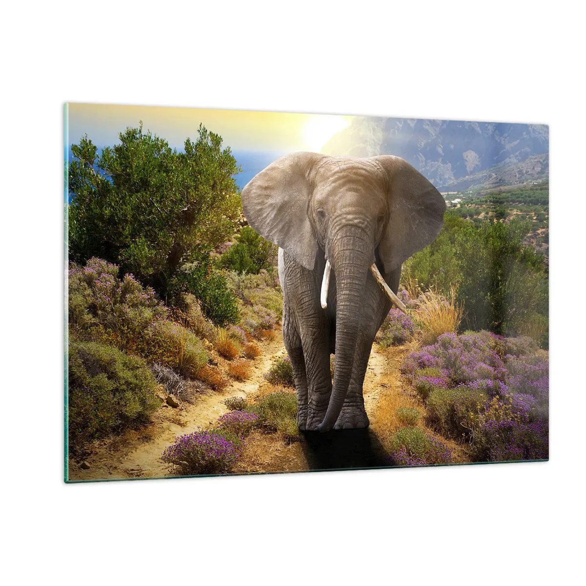 Glasbild - Bild auf glas - Ein Elefant vor einer Berglandschaft bei Sonnenuntergang - 120x80cm - So sah Eden aus - Moderne Wanddekoration für Wohnzimmer und Schlafzimmer ARTTOR