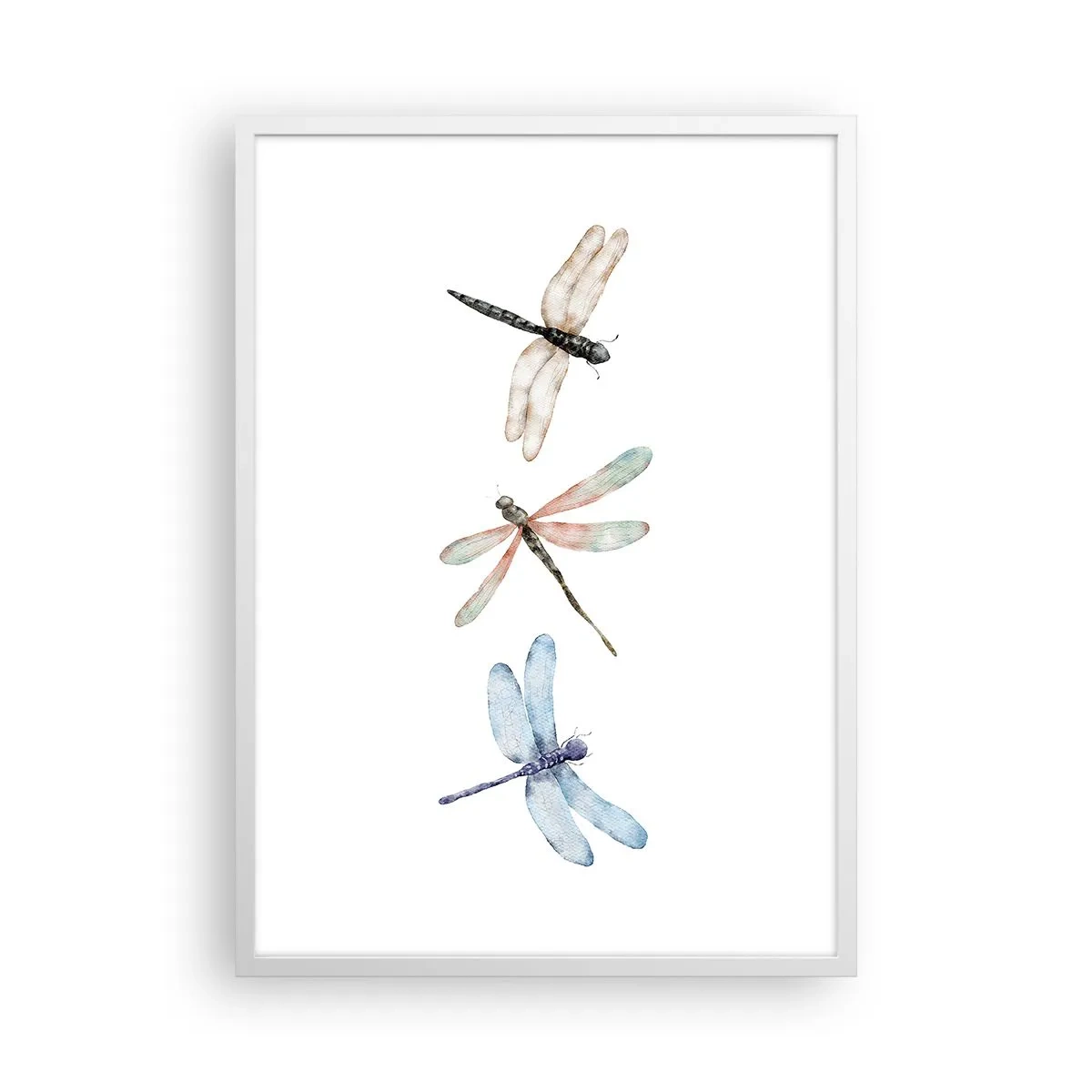 Poster in einem weißen Rahmen - Schwerelose Libellen - 50x70 cm