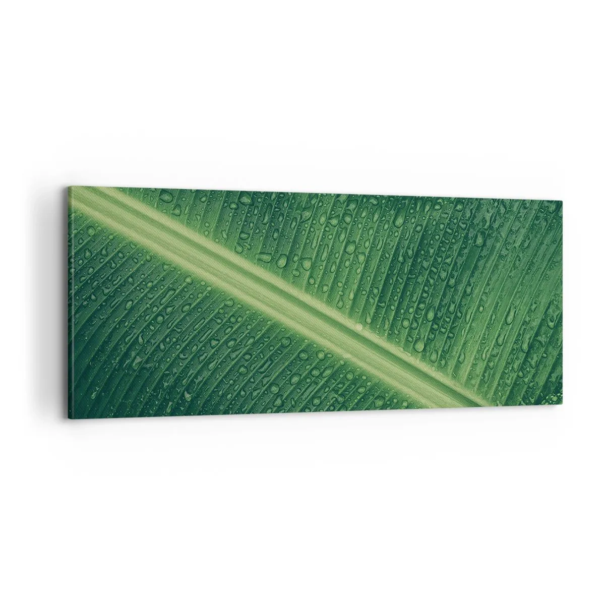 Bild auf Leinwand - Leinwandbild - Die Struktur des Grüns - 100x40 cm