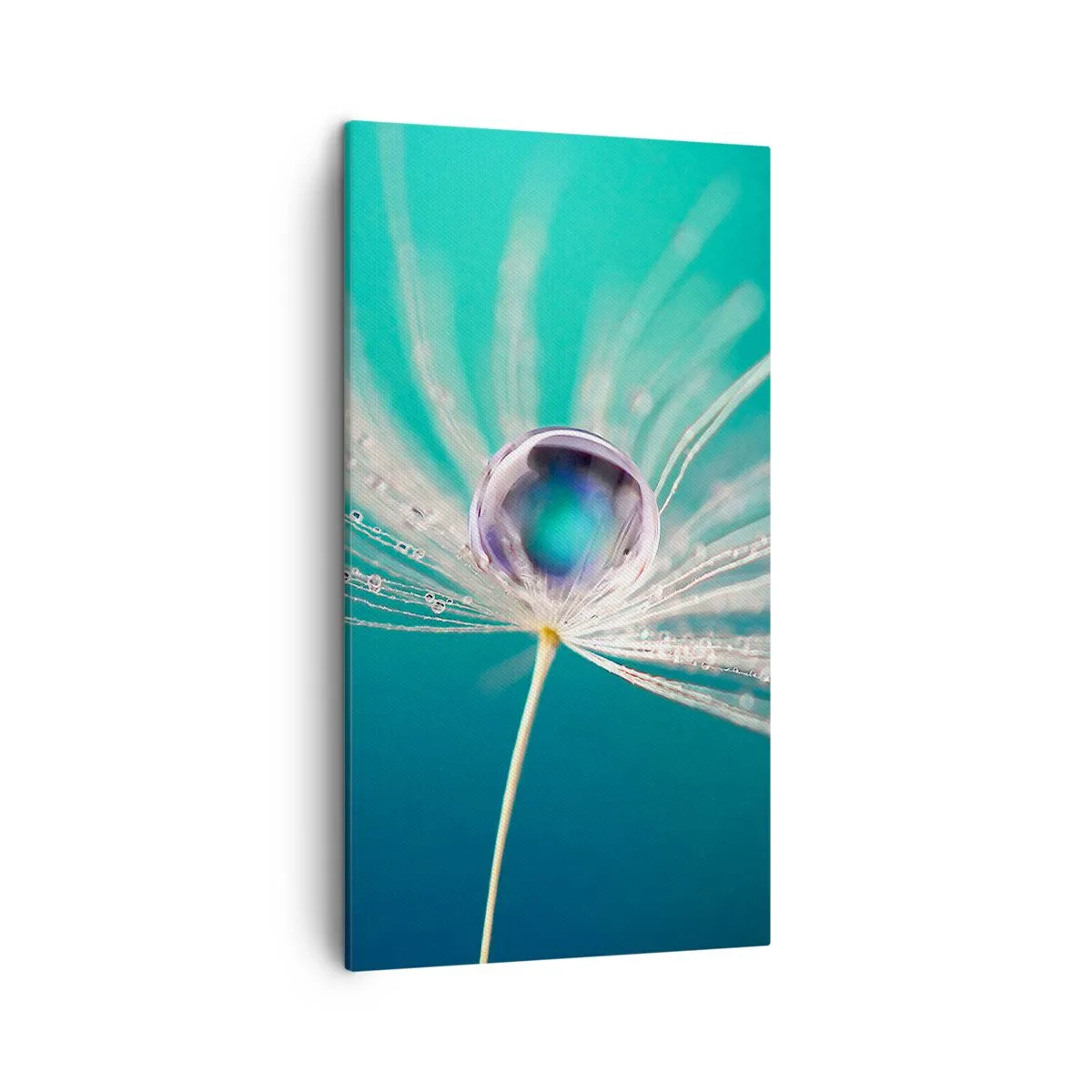 Bild auf Leinwand - Leinwandbild - Mystischer Moment - 45x80 cm