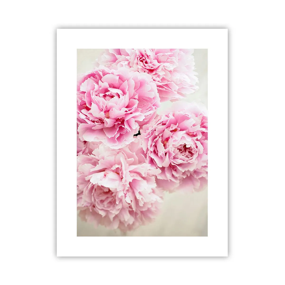 Poster - In rosa Glamour - 30x40 cm