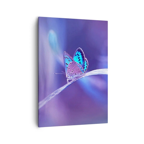 Bild auf Leinwand - Leinwandbild - Ein zarter blauer Schmetterling auf einem Stängel in violettem Licht - 50x70cm - Ein Juwel der Natur - Moderne Wanddekoration für Wohnzimmer und Schlafzimmer ARTTOR