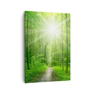 Bild auf Leinwand - Leinwandbild - Pfad im Wald mit Sonnenstrahlen - 50x70cm - Die grüne Kathedrale - Moderne Wanddekoration für Wohnzimmer und Schlafzimmer ARTTOR