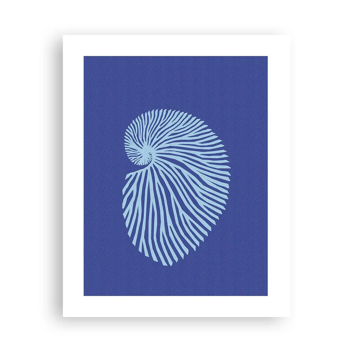 Poster - Geburt der Muschel - 40x50 cm