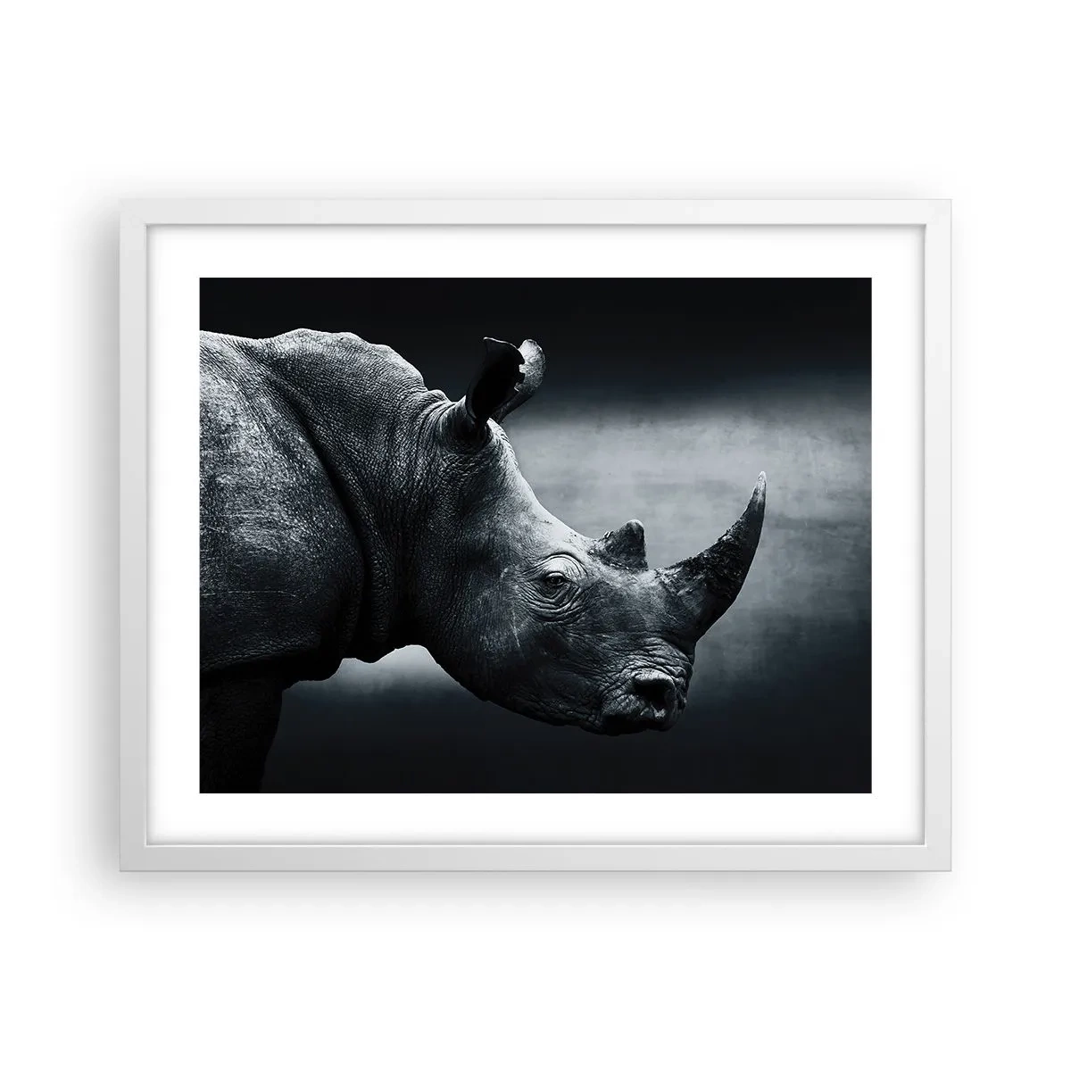 Poster in einem weißen Rahmen - Richtiges Profil - 50x40 cm