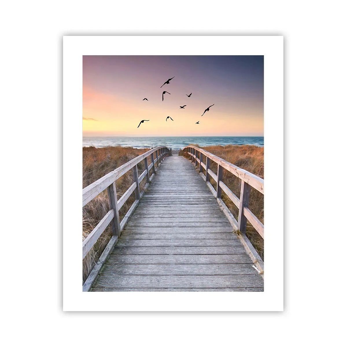 Poster - Der Raum für Auffliegen - 40x50 cm