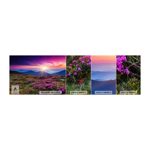 Fototapetenmuster Standard Eco - Kräuter dufteten nach frischen Trauben von den Feldern - Landschaft, Berge, Blumen - 100x30 cm