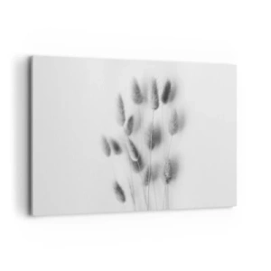 Bild auf Leinwand - Leinwandbild - Zarte Gräser in Grautönen auf weißem Hintergrund - 100x70cm - Eure flauschige Grashoheit - Moderne Wanddekoration für Wohnzimmer und Schlafzimmer ARTTOR