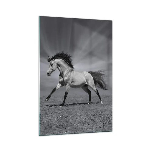 Glasbild - Bild auf glas - Ein schwarz-weißes Pferd in einer dynamischen Pose in der Wüste. - 80x120cm - Geboren um Freude zu bereiten - Moderne Wanddekoration für Wohnzimmer und Schlafzimmer ARTTOR