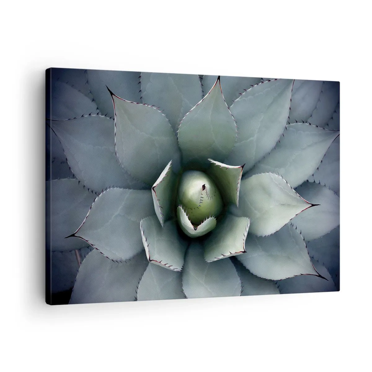 Bild auf Leinwand - Leinwandbild - Nahaufnahme einer Agavenrosette in zarten Grüntönen - 70x50cm - Es lockt an und warnt - Moderne Wanddekoration für Wohnzimmer und Schlafzimmer ARTTOR