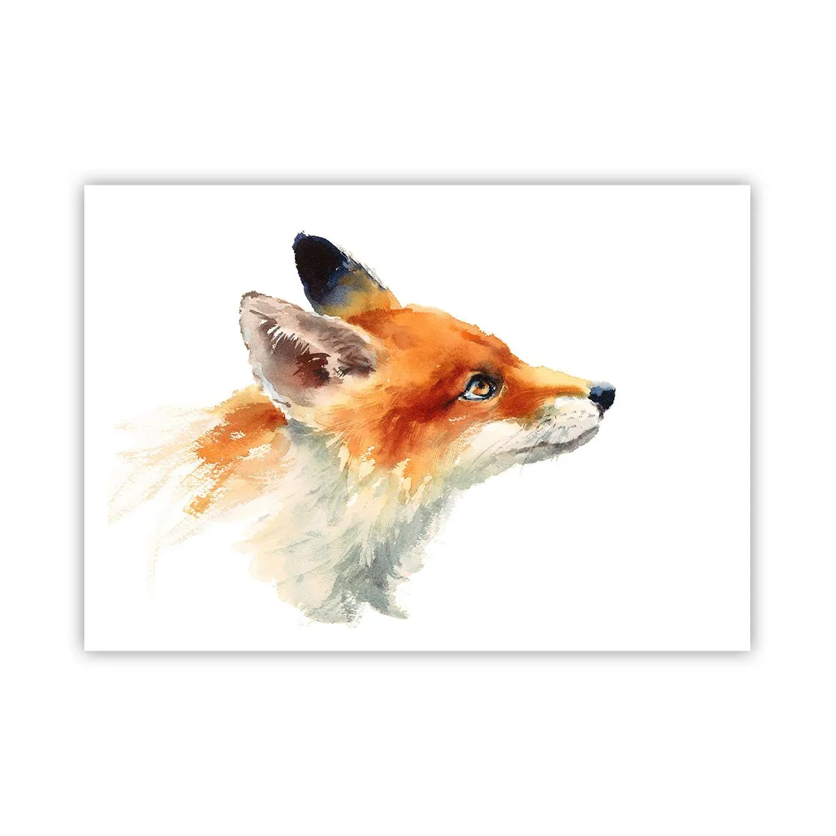 Poster - Rotfuchs im Aquarellstil auf weißem Hintergrund - 100x70cm - Man kann nie vorsichtig genug sein - Moderne Wanddekoration für Wohnzimmer und Schlafzimmer ARTTOR