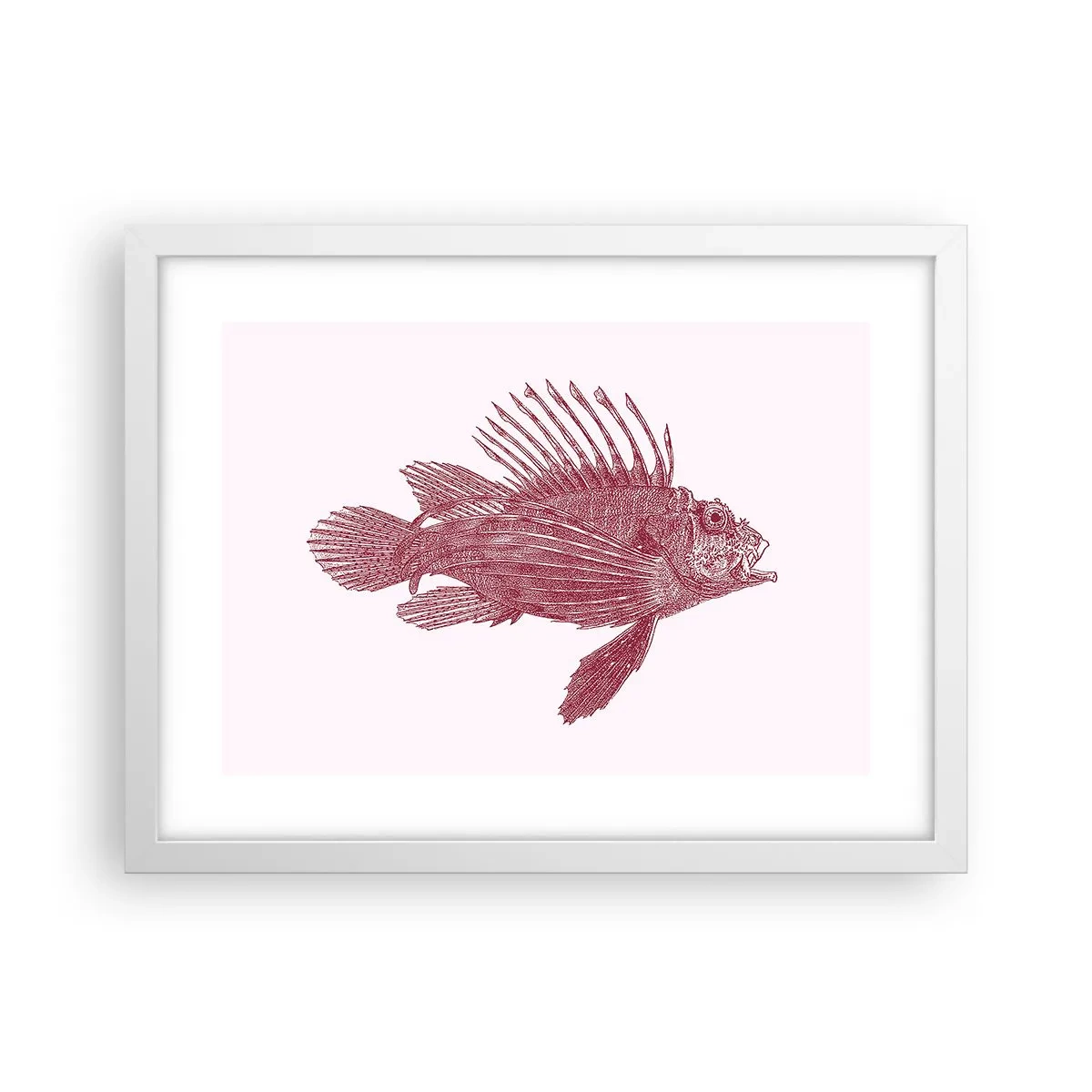 Poster in einem weißen Rahmen - Bewohner exotischer Gewässer - 40x30 cm