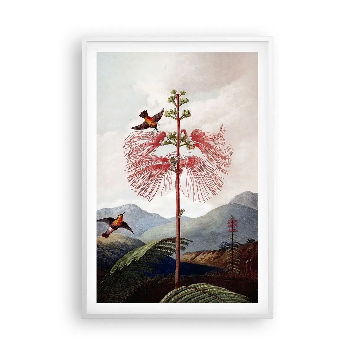 Poster in einem weißen Rahmen - In einem tropischen Paradies - 61x91 cm