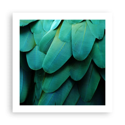 Poster - Papageienartige Präzision - 50x50 cm