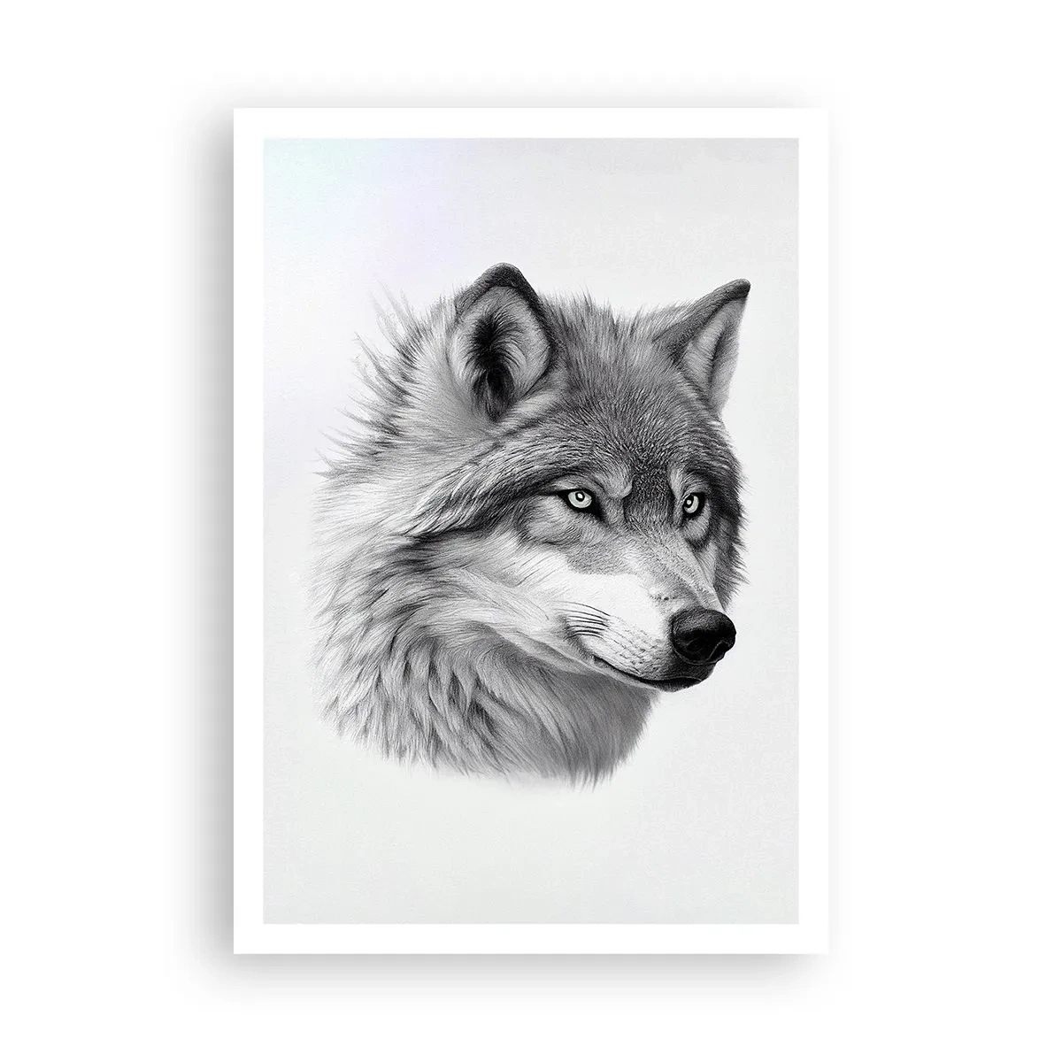 Poster - Alpha – ohne Zweifel - 70x100 cm