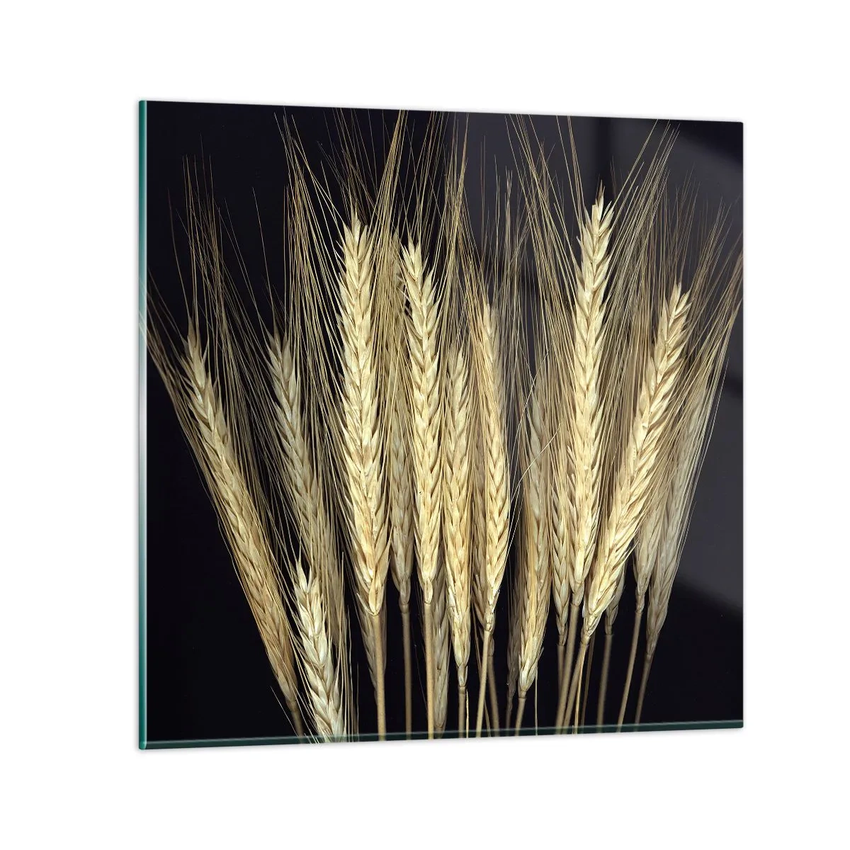 Glasbild - Bild auf glas - Rustikale Magie - 60x60 cm