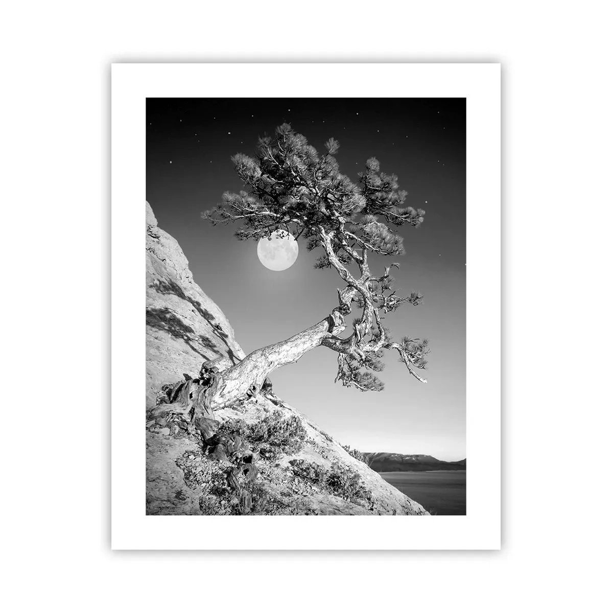 Poster - Siegreiche Kämpferin - 40x50 cm