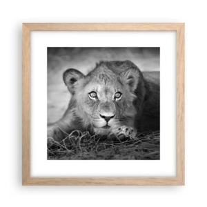 Poster in einem Rahmen aus heller Eiche - Königlicher Welpe - 30x30 cm