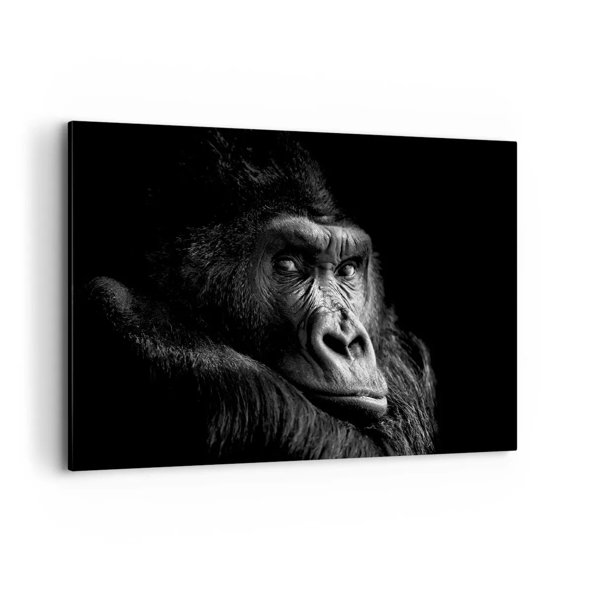 Bild auf Leinwand - Leinwandbild - Schwarz-Weiß-Porträt eines majestätischen Gorillas - 120x80cm - Und was guckst du so? - Moderne Wanddekoration für Wohnzimmer und Schlafzimmer ARTTOR