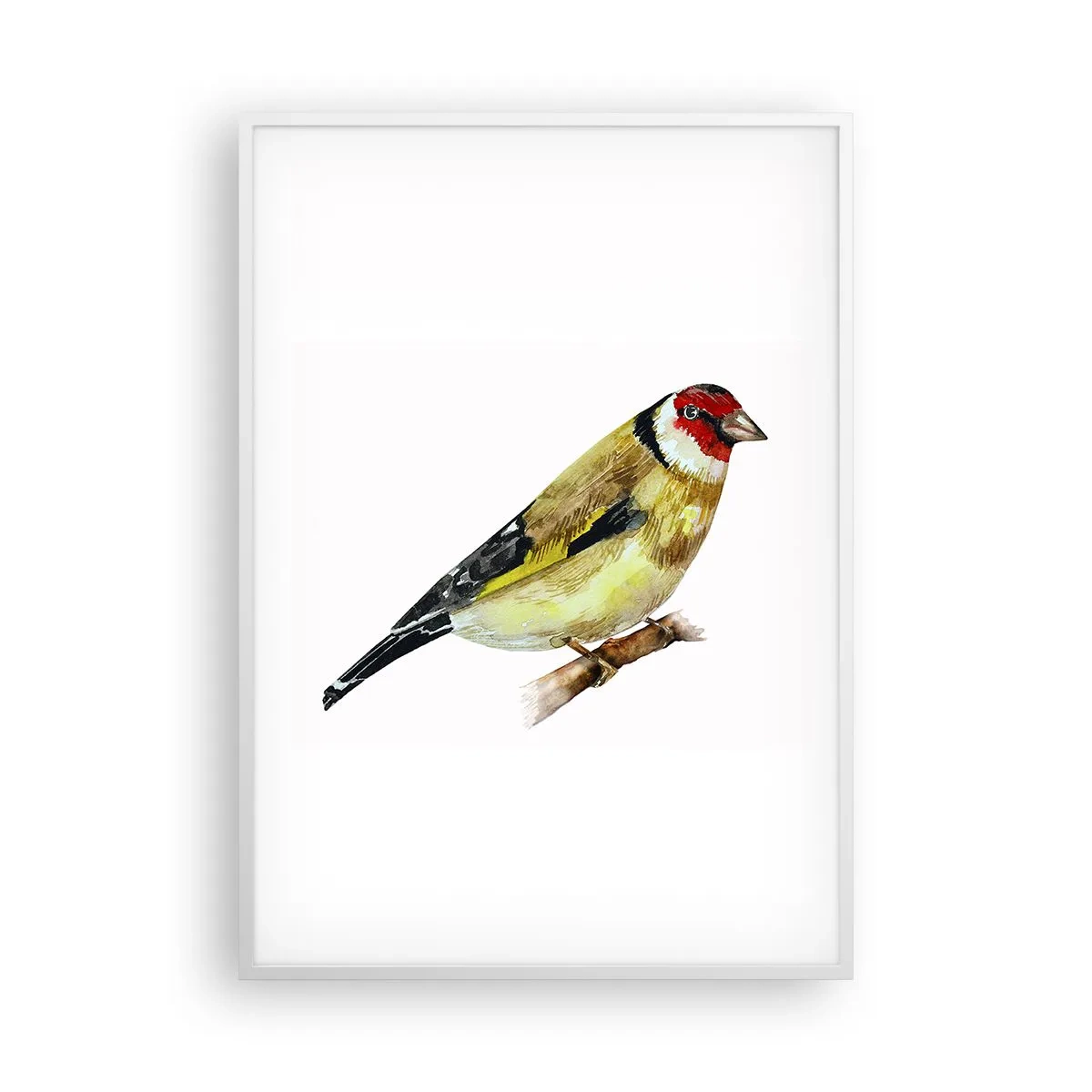 Poster in einem weißen Rahmen - Vogelporträt - 70x100 cm