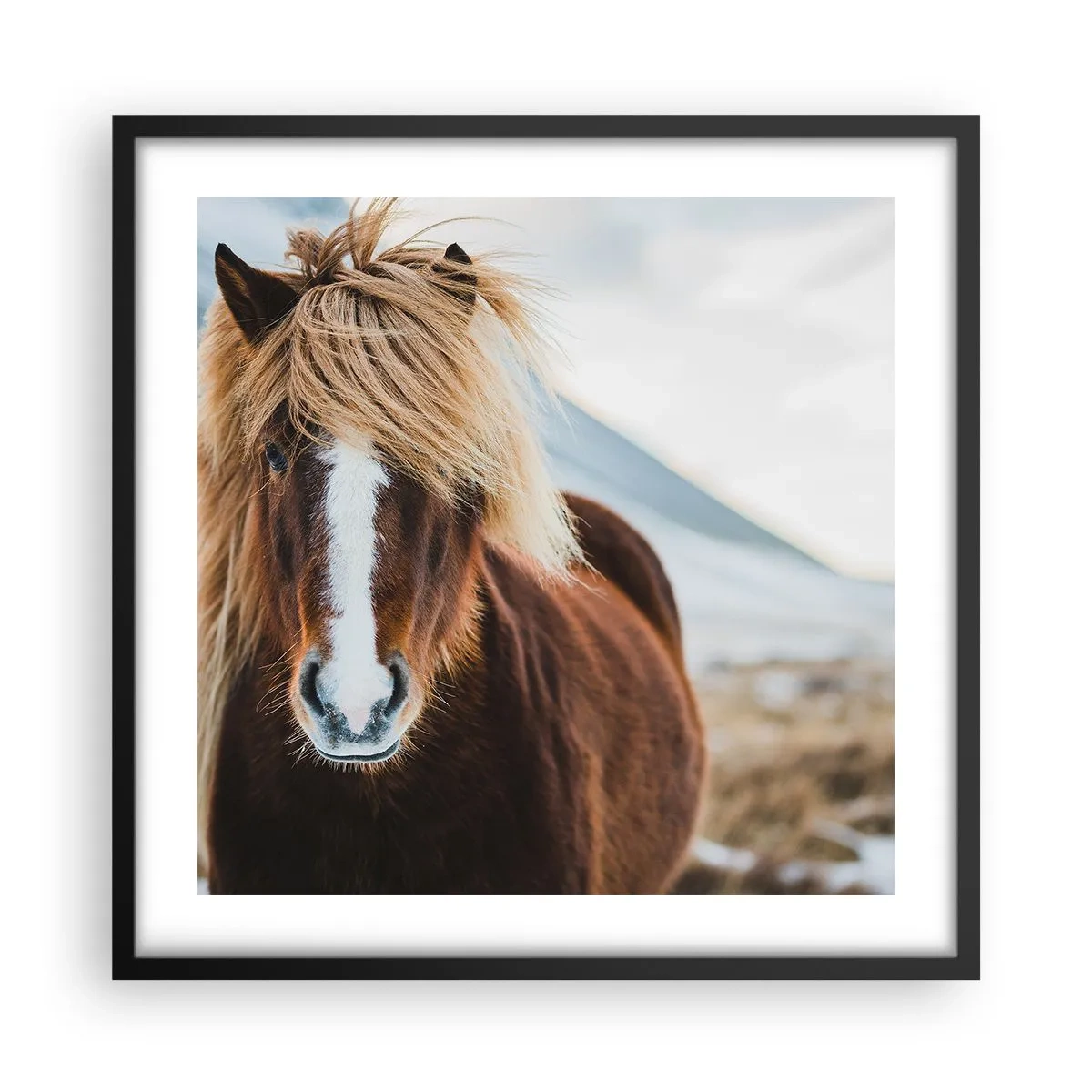 Poster in einem schwarzem Rahmen - Spürst du die Freiheit? - 50x50 cm