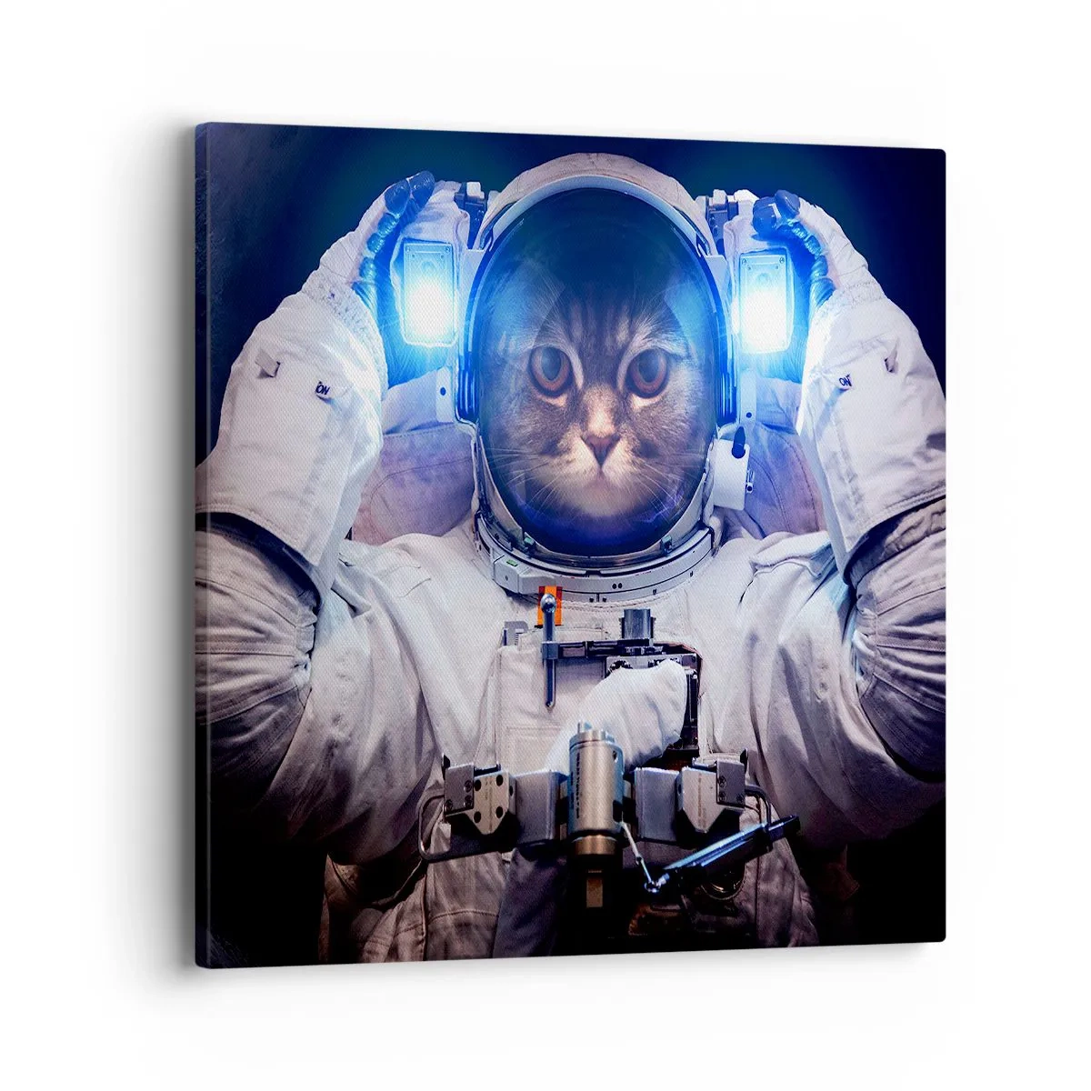 Bild auf Leinwand - Leinwandbild - Houston, du hast ein Problem - 40x40 cm