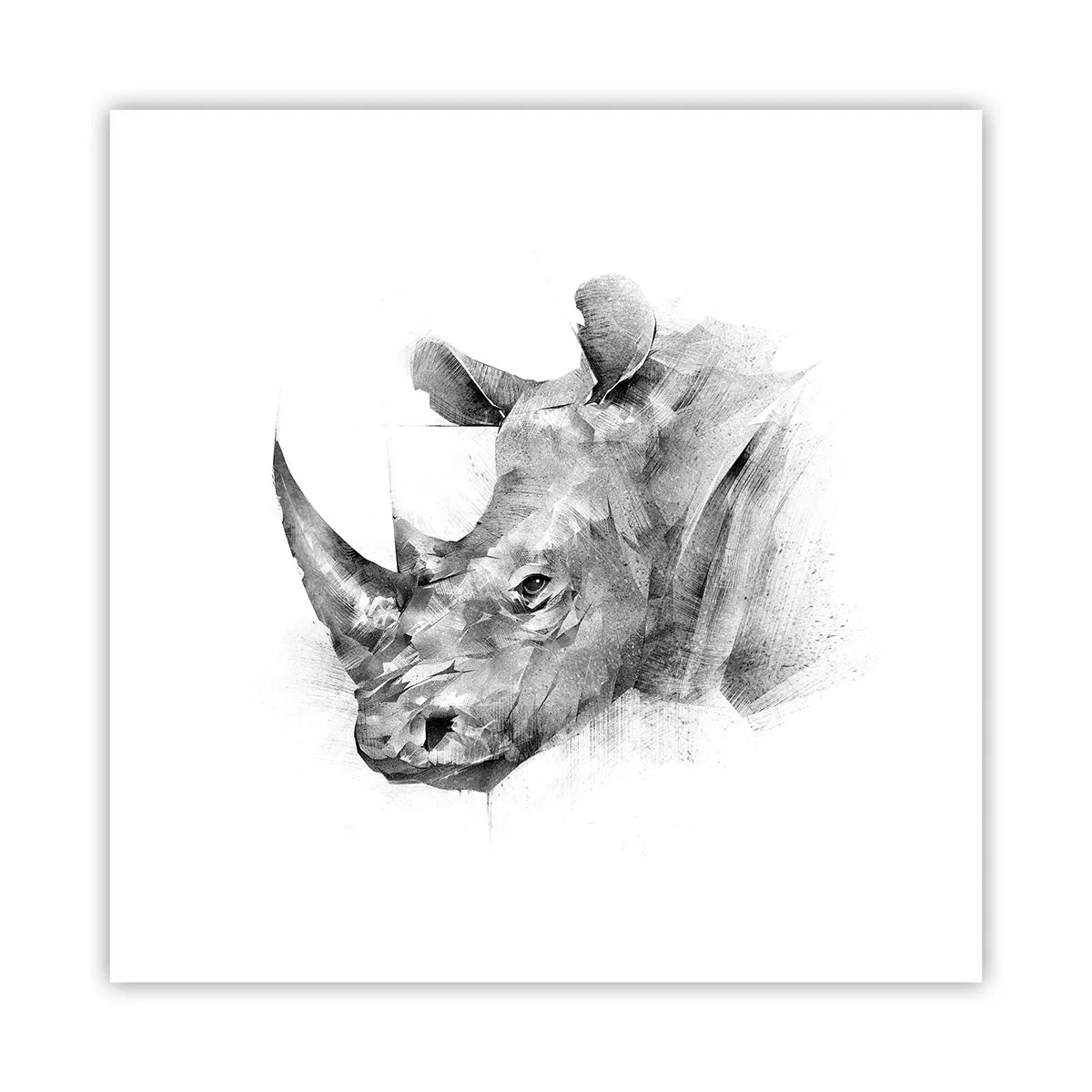 Poster - Afrikanisches Porträt - 30x30 cm