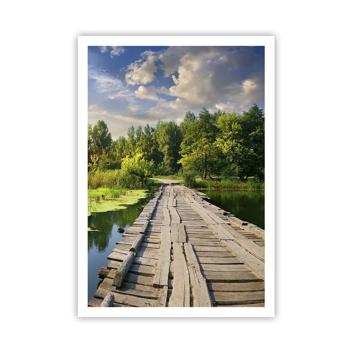 Poster - Sommer, Sommer überall - 70x100 cm