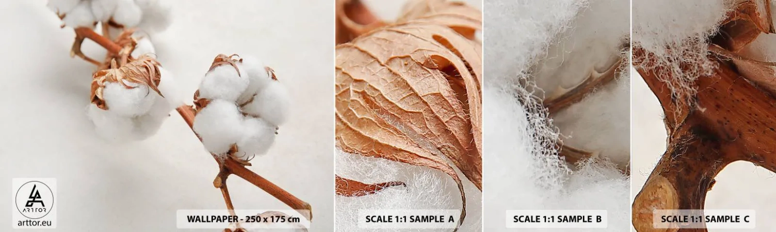 Fototapetenmuster Standard Eco - Nur umarmen - Baumwollblume, Blume, Baumwollzweig - 100x30 cm