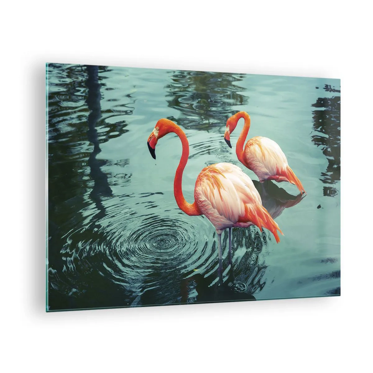 Glasbild - Bild auf glas - Flamingos auf dem Wasser in harmonischer Komposition - 70x50cm - Wir sind jetzt in Mode - Moderne Wanddekoration für Wohnzimmer und Schlafzimmer ARTTOR