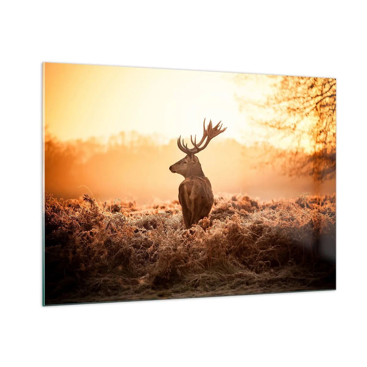 Glasbild - Bild auf glas - Hirsch vor dem Hintergrund eines Sonnenaufgangs in einer natürlichen Landschaft - 100x70cm - Herr im eigenen Land - Moderne Wanddekoration für Wohnzimmer und Schlafzimmer ARTTOR