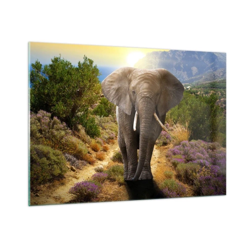Glasbild - Bild auf glas - Ein Elefant vor einer Berglandschaft bei Sonnenuntergang - 100x70cm - So sah Eden aus - Moderne Wanddekoration für Wohnzimmer und Schlafzimmer ARTTOR