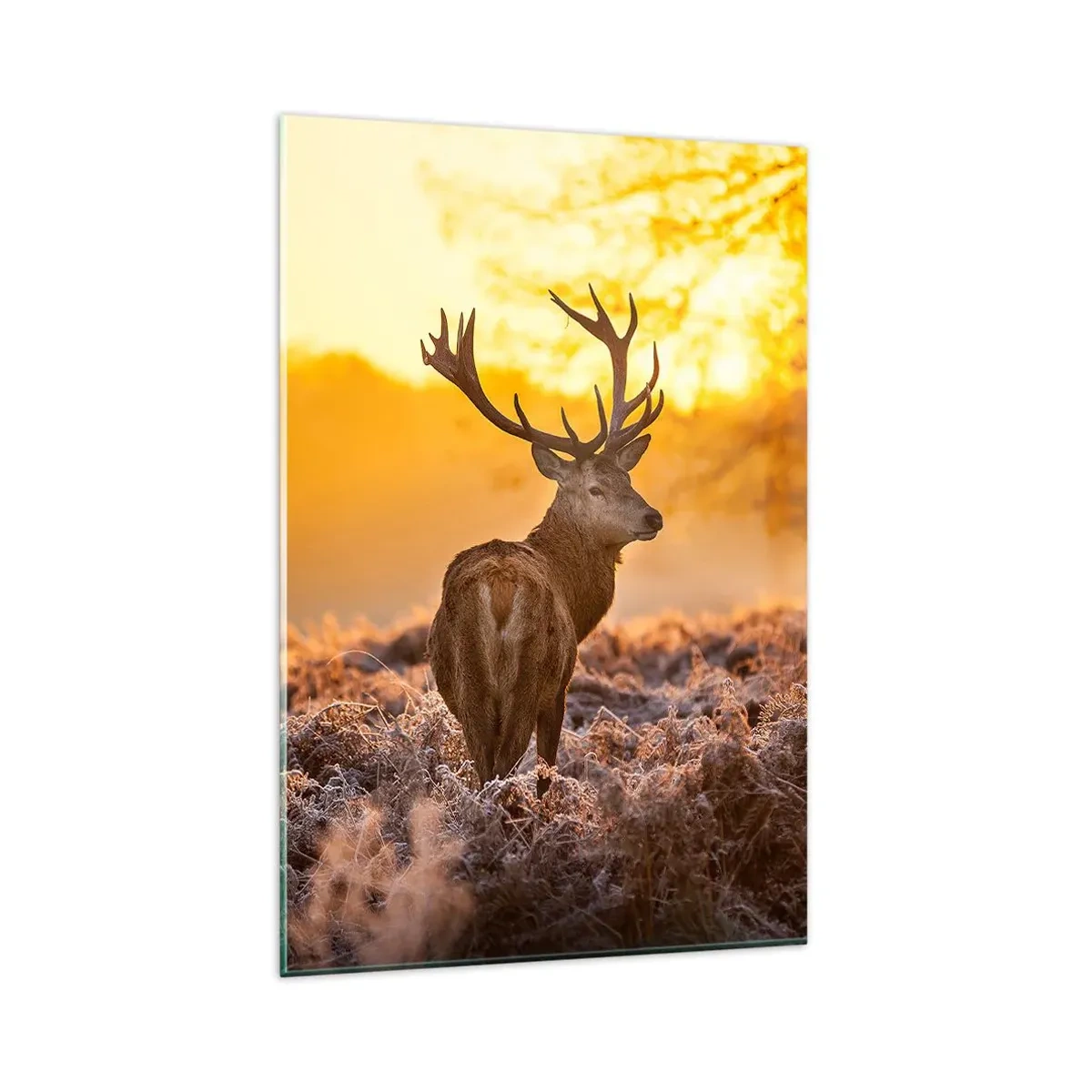 Glasbild - Bild auf glas - Ein Hirsch vor dem Hintergrund eines herbstlichen Waldes, der von der goldenen Sonne beleuchtet wird - 80x120cm - König des Herbstwaldes - Moderne Wanddekoration für Wohnzimmer und Schlafzimmer ARTTOR