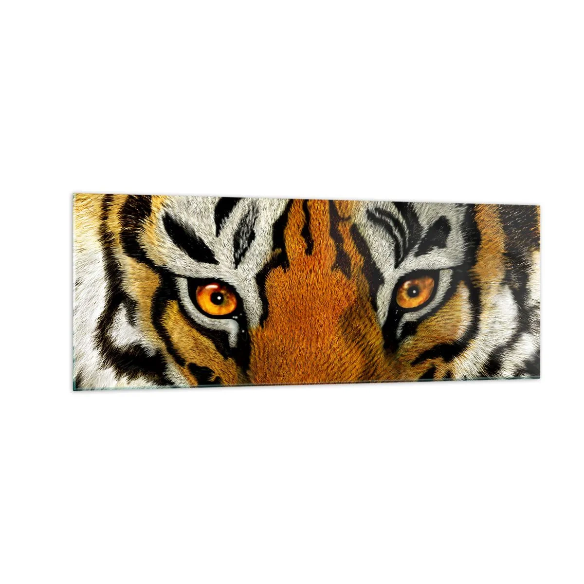 Glasbild - Bild auf glas - Nahaufnahme eines Tigers mit intensivem Blick - 140x50cm - Schrecklich und schön - Moderne Wanddekoration für Wohnzimmer und Schlafzimmer ARTTOR