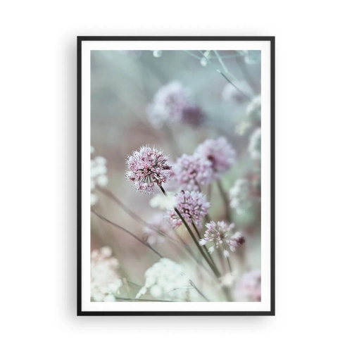 Poster in einem schwarzem Rahmen - Süße filigrane Kräuter - 70x100 cm