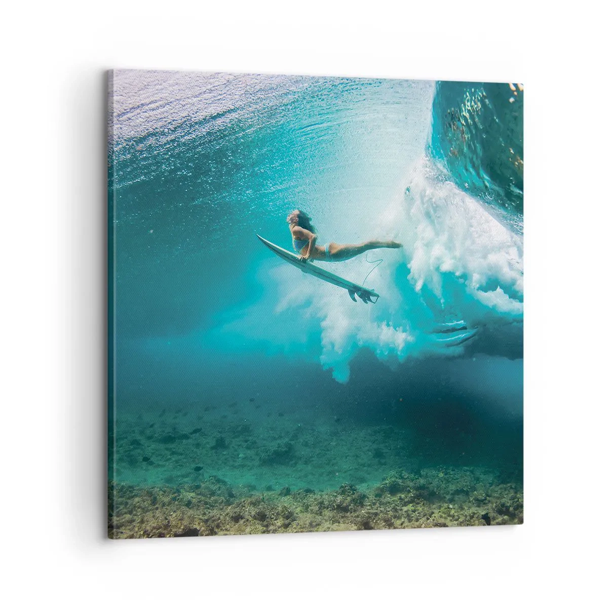 Bild auf Leinwand - Leinwandbild - Unterwasserwelt - 60x60 cm