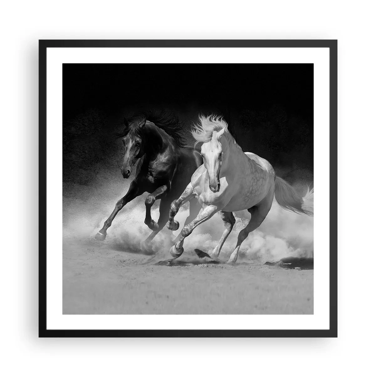 Poster in einem schwarzem Rahmen - Galopp der Freiheit - 60x60 cm