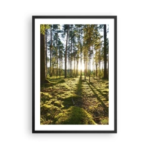 Poster in einem schwarzem Rahmen - Grüner Wald am Morgen mit den Strahlen der aufgehenden Sonne - 50x70cm - … Hinter den sieben Wäldern - Moderne Wanddekoration für Wohnzimmer und Schlafzimmer ARTTOR