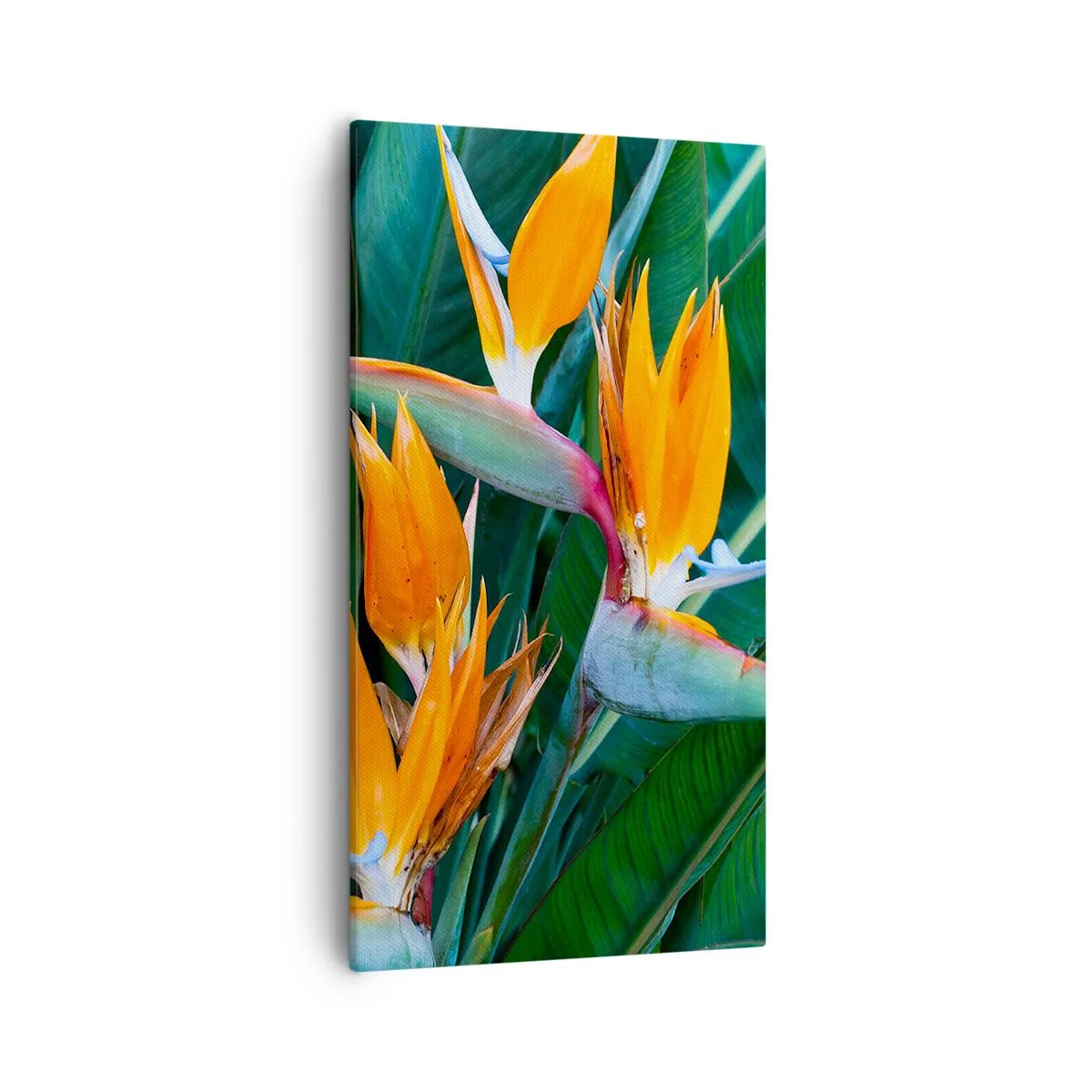 Bild auf Leinwand - Leinwandbild - Ist es eine Blume oder ist es ein Vogel? - 55x100 cm
