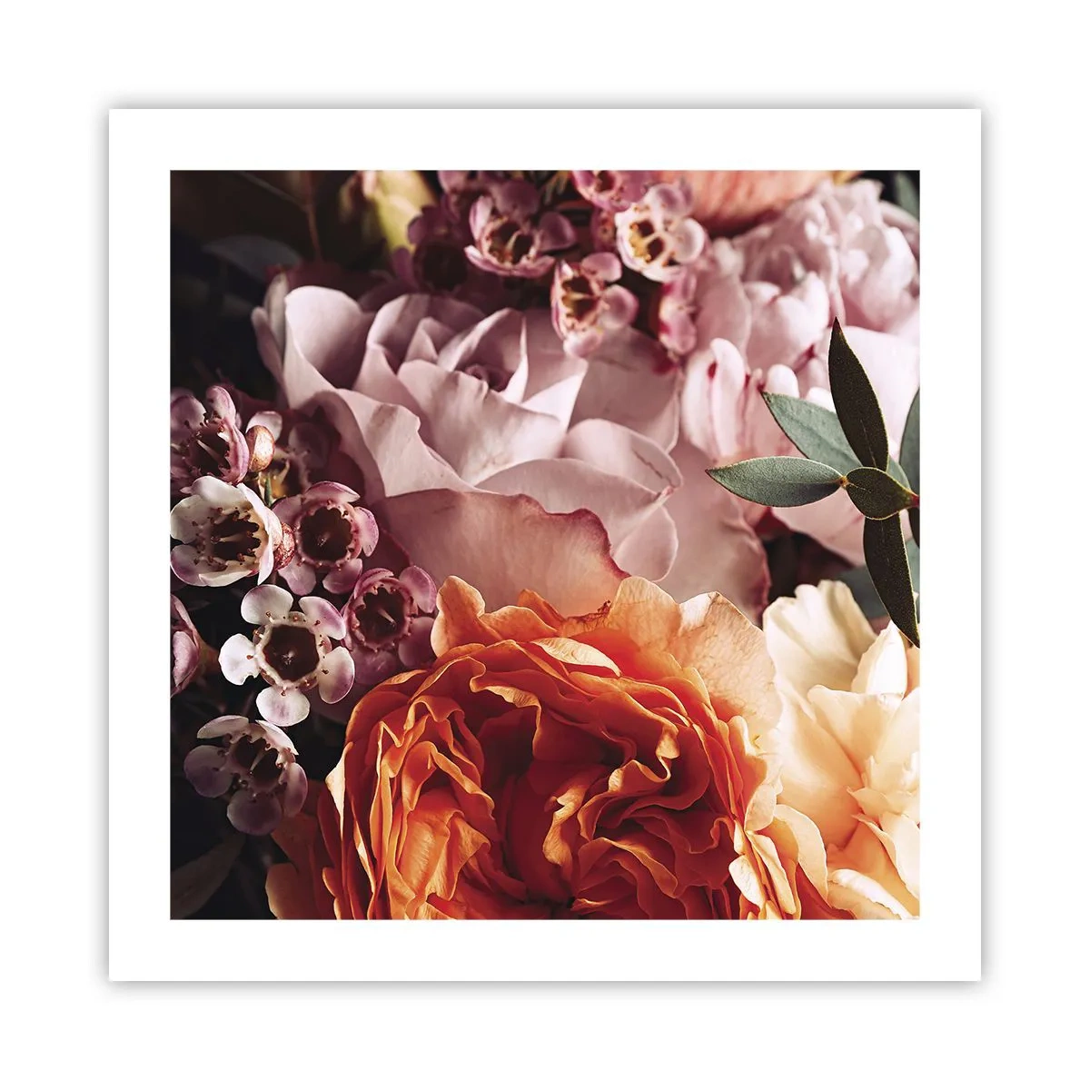 Poster - Eingehüllt in Schönheit - 50x50 cm