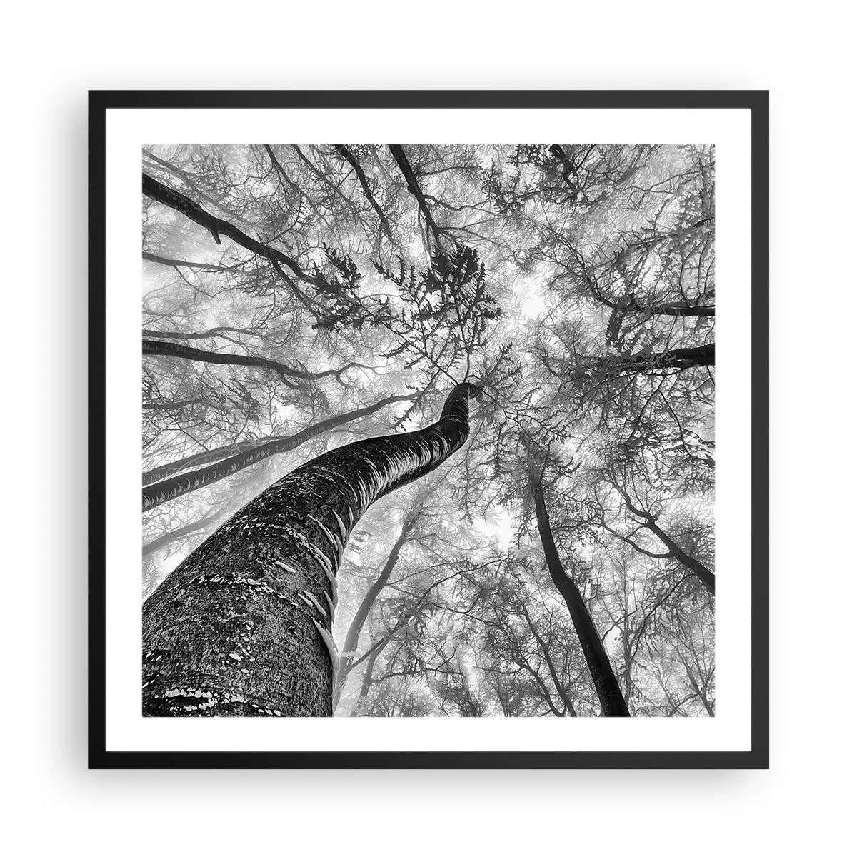 Poster in einem schwarzem Rahmen - Rennen zum Licht - 60x60 cm