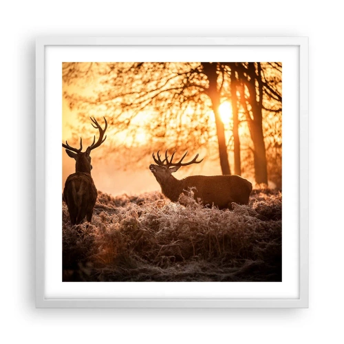 Poster in einem weißen Rahmen - Der Traum eines Jägers - 50x50 cm