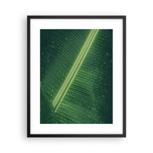 Poster in einem schwarzem Rahmen - Die Struktur des Grüns - 40x50 cm