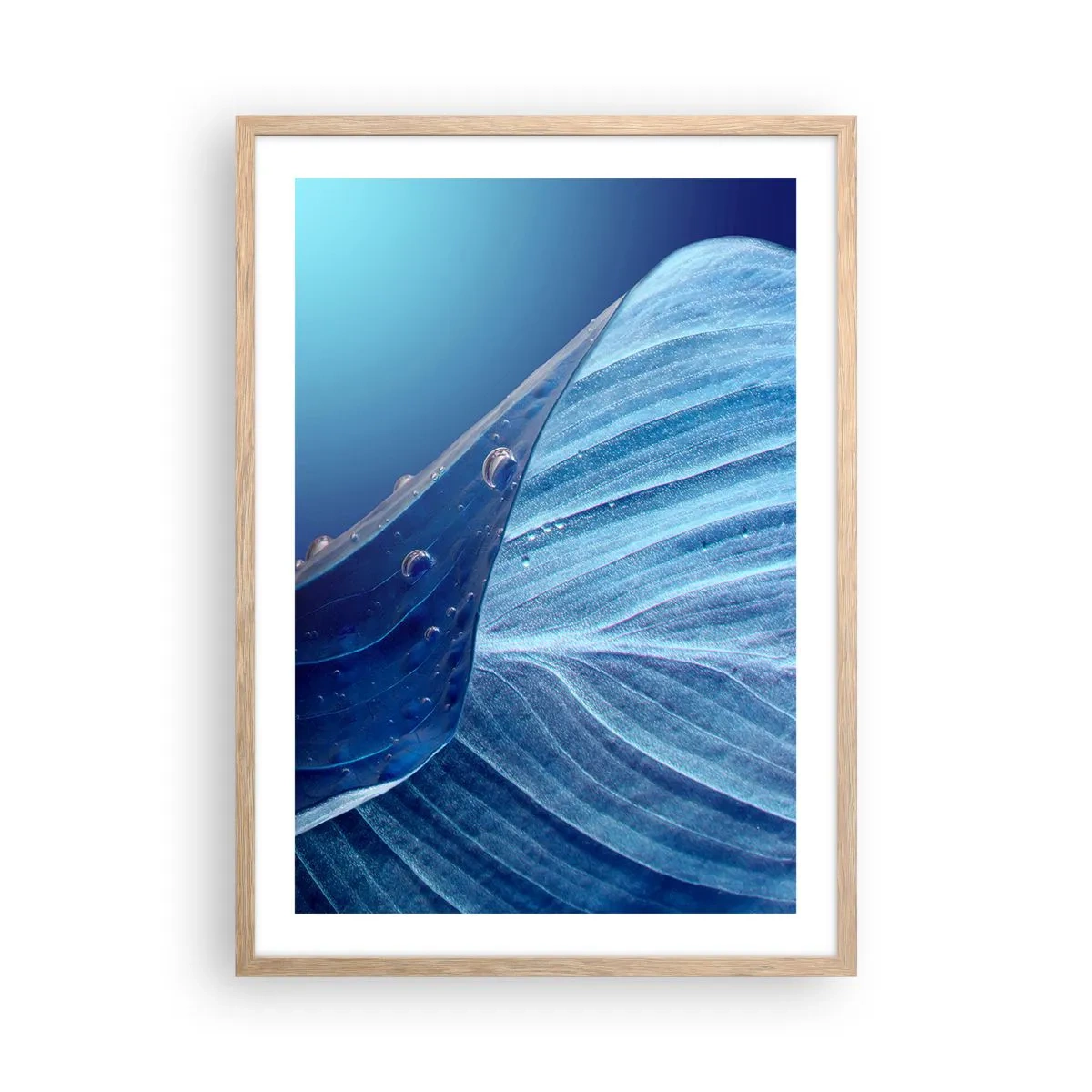 Poster in einem Rahmen aus heller Eiche - Versteckte Tropfen vom Blau - 50x70 cm