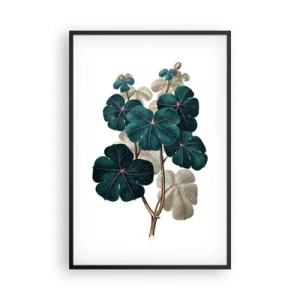 Poster in einem schwarzem Rahmen - Aus dem alten Herbarium - 61x91 cm