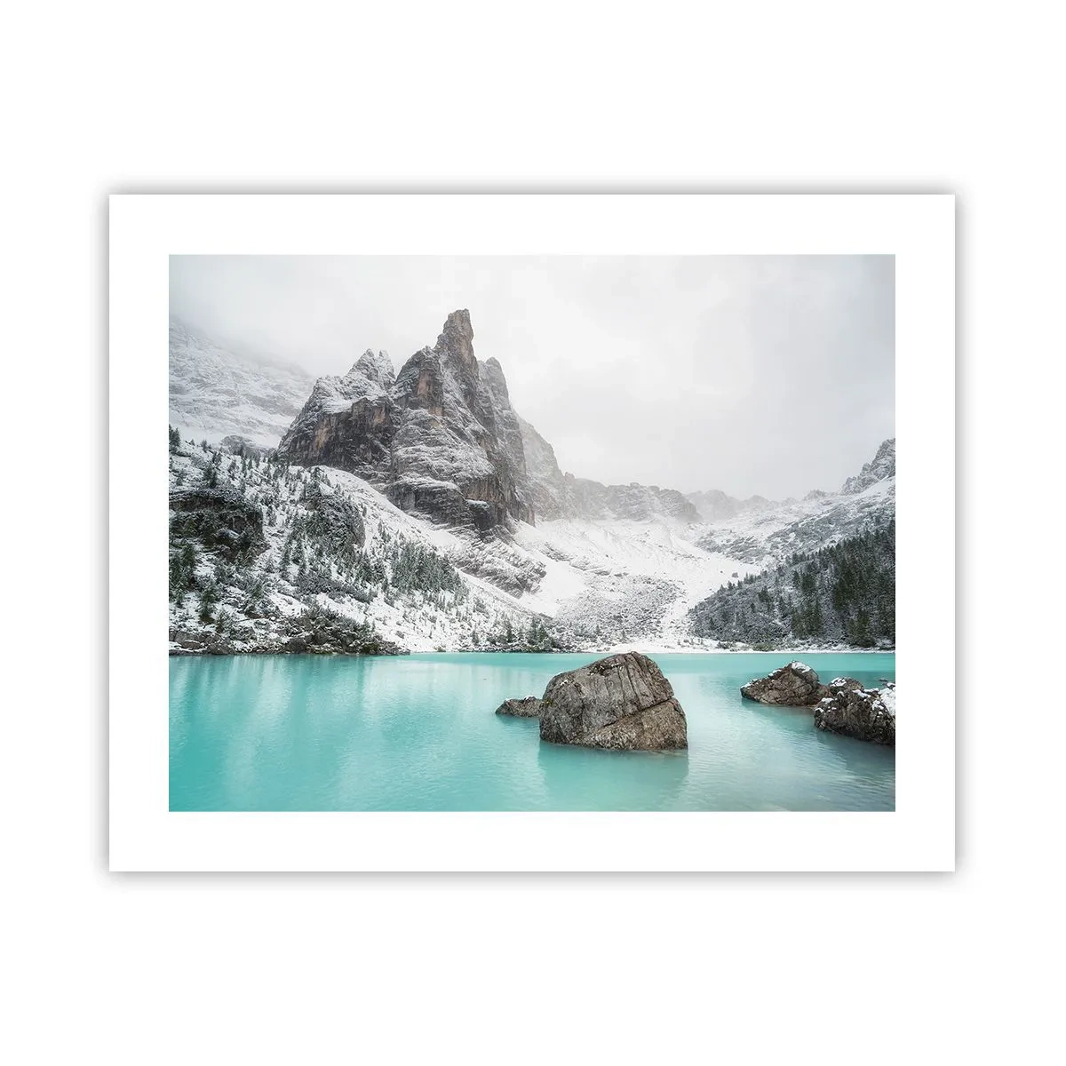 Poster - Auf der Hut - 50x40 cm