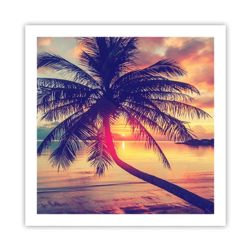 Poster - Abend unter Palmen - 60x60 cm