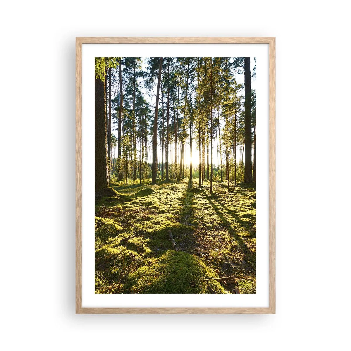 Poster in einem Rahmen aus heller Eiche - … Hinter den sieben Wäldern - 50x70 cm