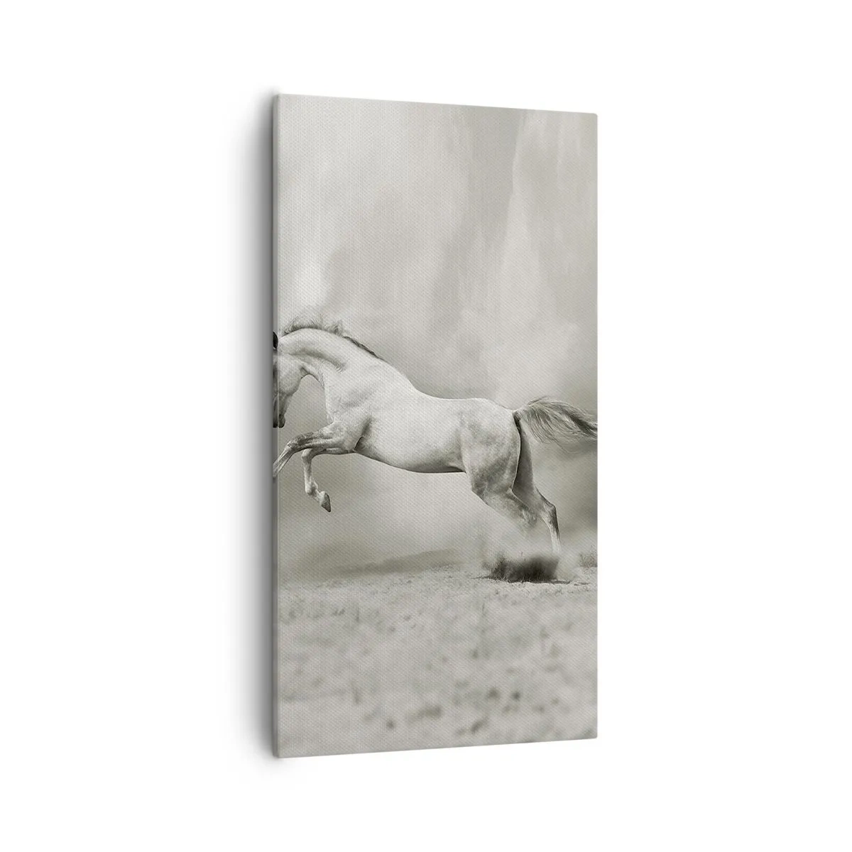 Bild auf Leinwand - Leinwandbild - Zwischen Aufwachen und Schlafen - 55x100 cm
