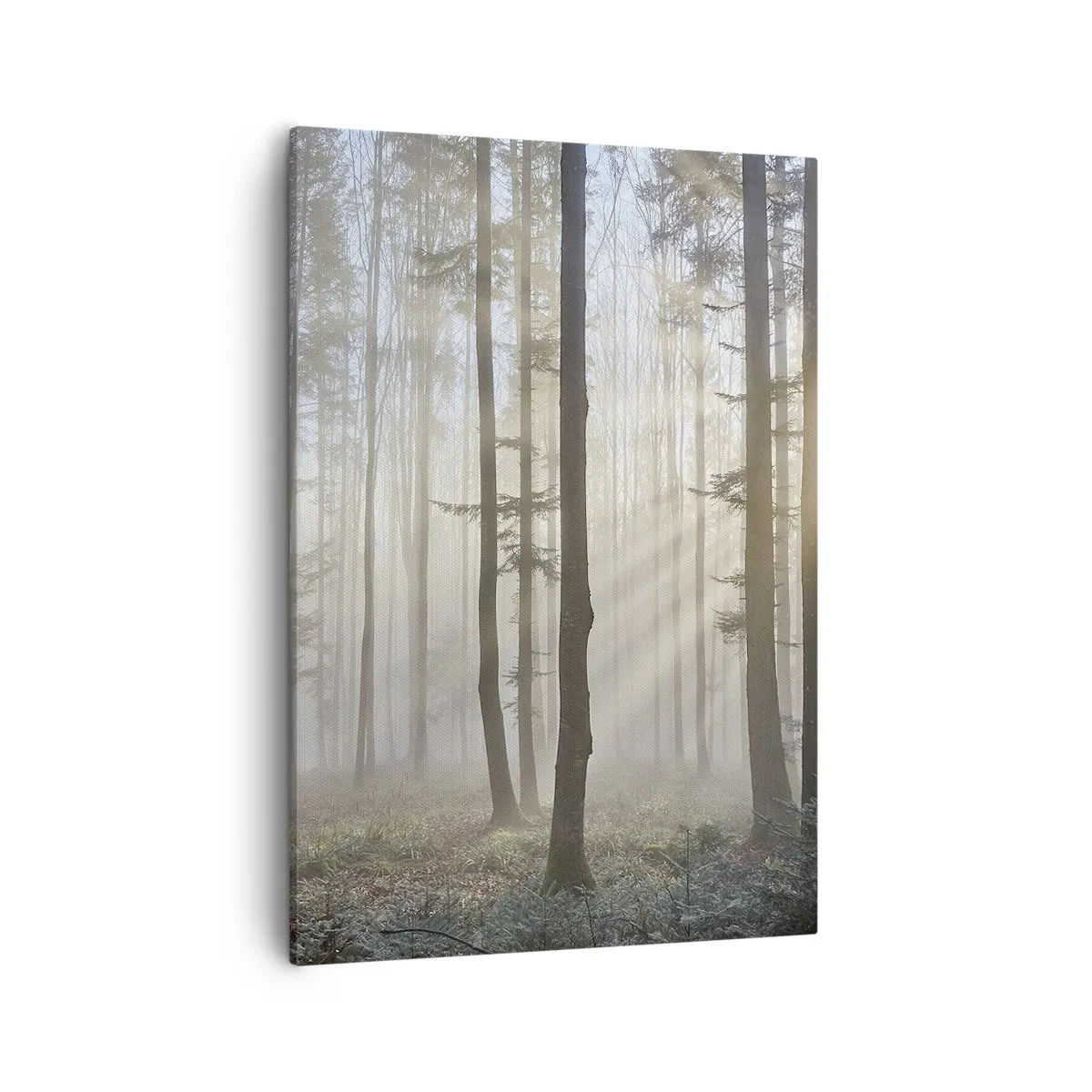 Bild auf Leinwand - Leinwandbild - Ein Wald in leichtem Nebel mit Sonnenstrahlen, die durch die Bäume scheinen - 50x70cm - Der Nebel ist auch aufgewacht - Moderne Wanddekoration für Wohnzimmer und Schlafzimmer ARTTOR